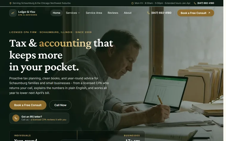 Accountant website example - Ledger & Vine CPA home page